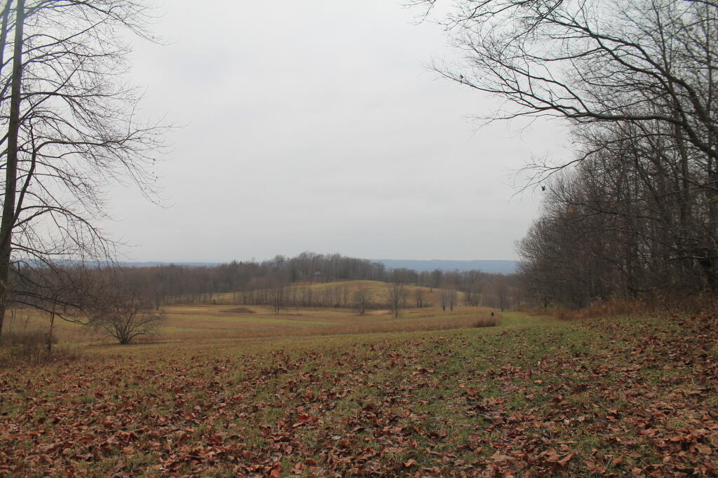 Photo: Fields on Edge of Zoar Valley Photo: Fields on Edge of Zoar Valley