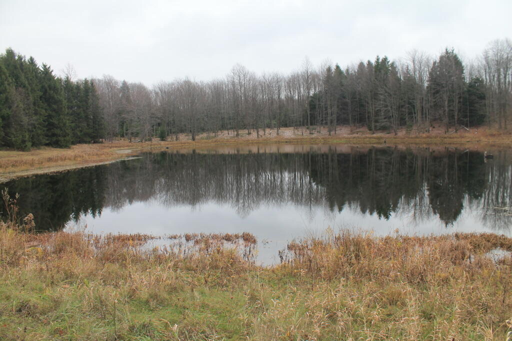 Photo: Third Pond