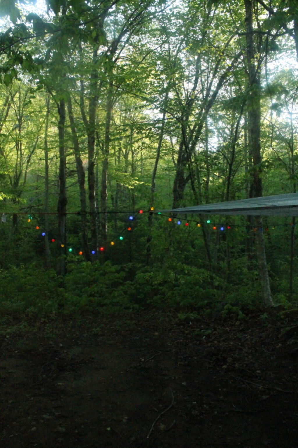 Photo: Lights Photo: Lights