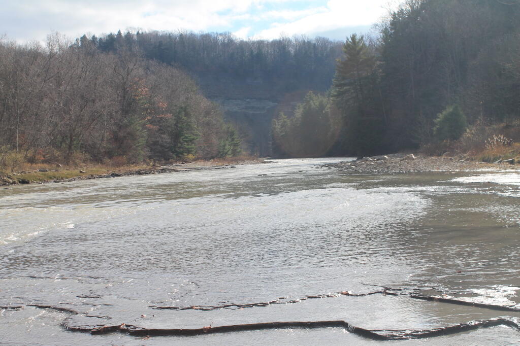 Photo: Shallow River Bottom
