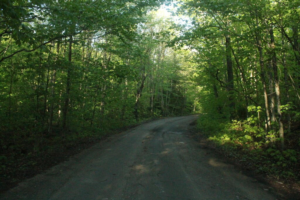 Photo: Cedar River-Limekiln Road After the Sun Came Back Photo: Cedar River-Limekiln Road After the Sun Came Back
