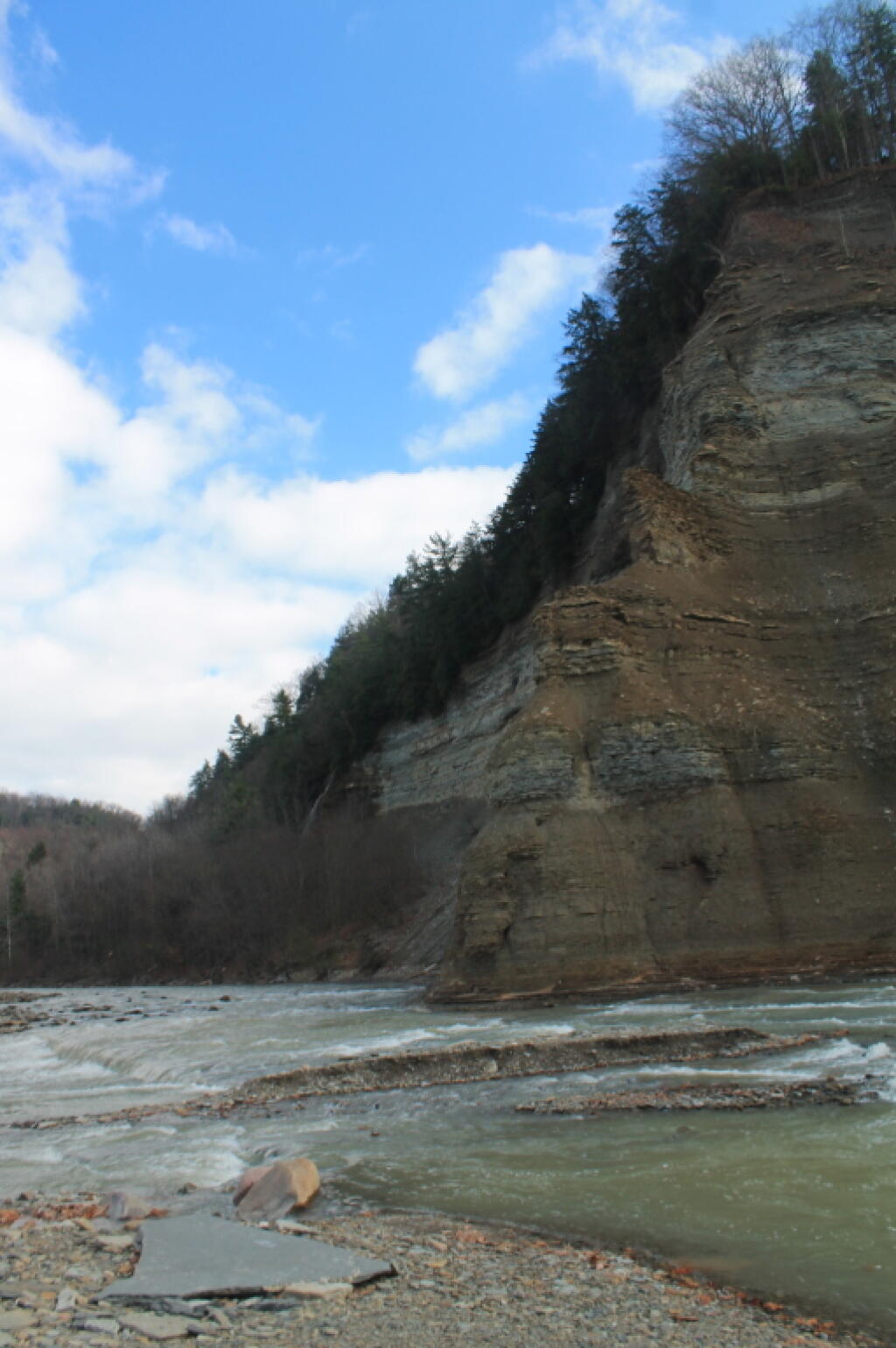 Photo: Nose Between South Branch and Main Branch of Cattaragus River Photo: Nose Between South Branch and Main Branch of Cattaragus River