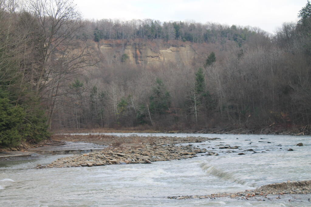 Photo: Main Branch of Cattaragus River Photo: Main Branch of Cattaragus River