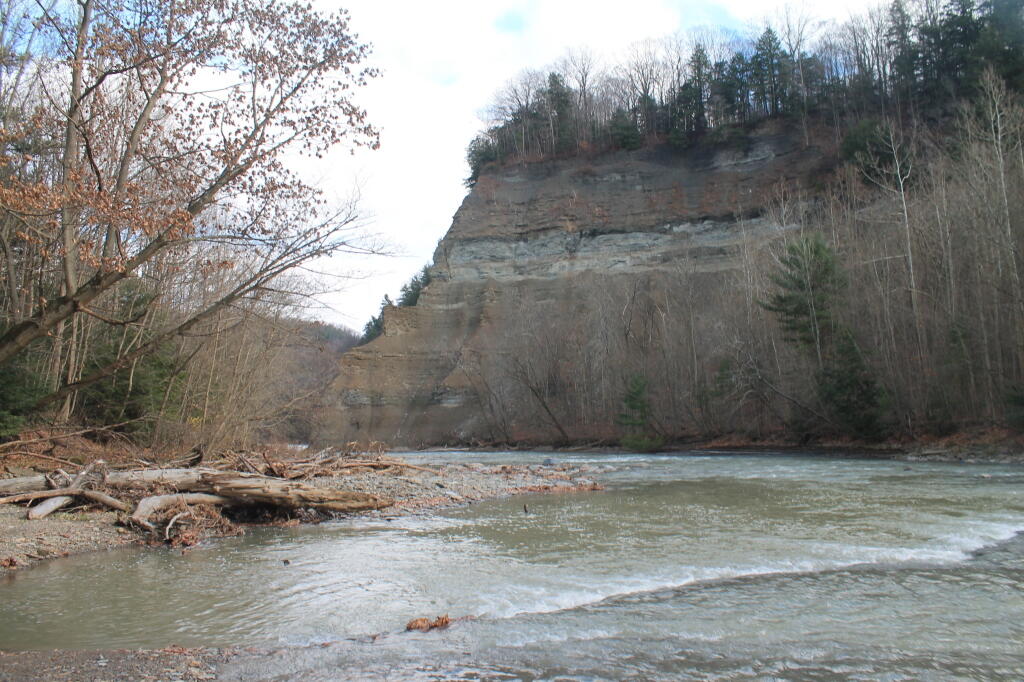 Photo: South Branch as It Enters the Main Branch Photo: South Branch as It Enters the Main Branch