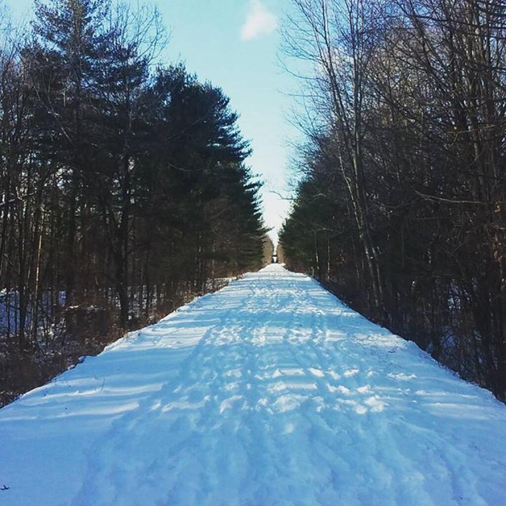 Photo: Outside Font Grove Photo: Outside Font Grove
