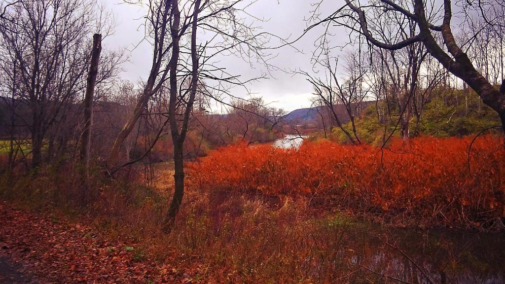 Photo: Schenvus Creek Photo: Schenvus Creek