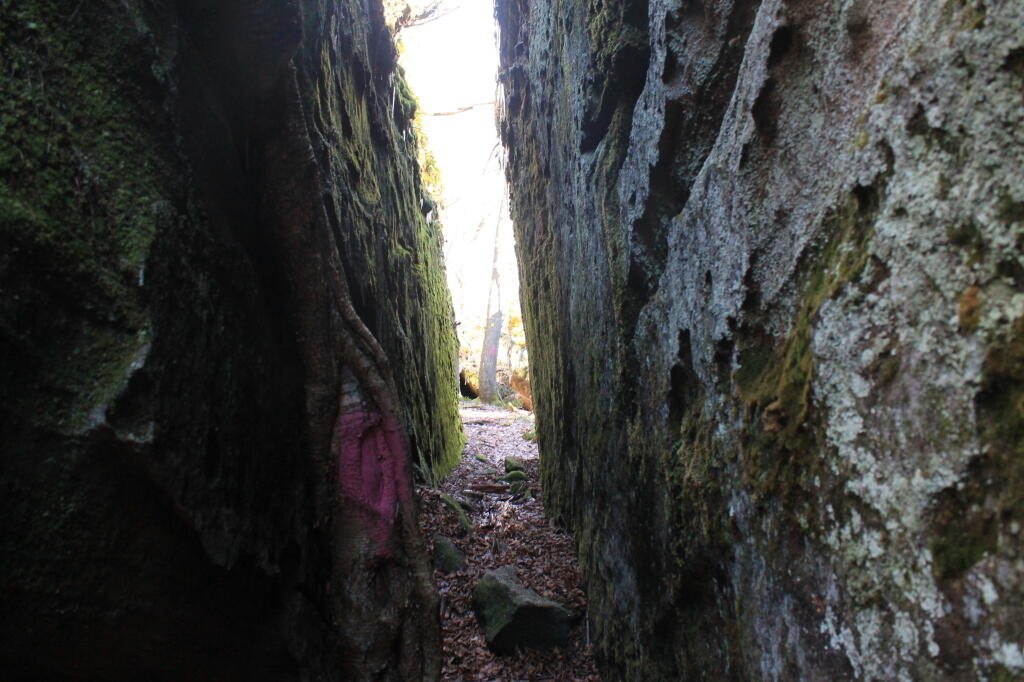 Photo: Narrow Photo: Narrow