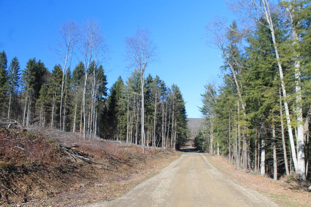 Photo: Hungry Hollow Road Photo: Hungry Hollow Road