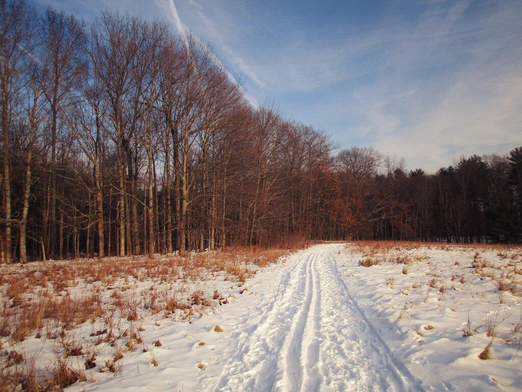 Photo: Decent Conditions For Skiing Photo: Decent Conditions For Skiing
