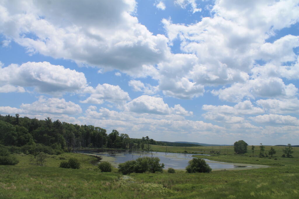 Photo: Farm Pond Along Hunts Pond Road Photo: Farm Pond Along Hunts Pond Road