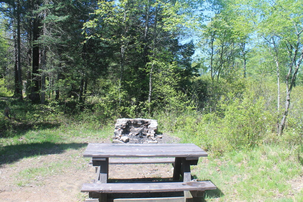 Photo: Campsite 56 Photo: Campsite 56