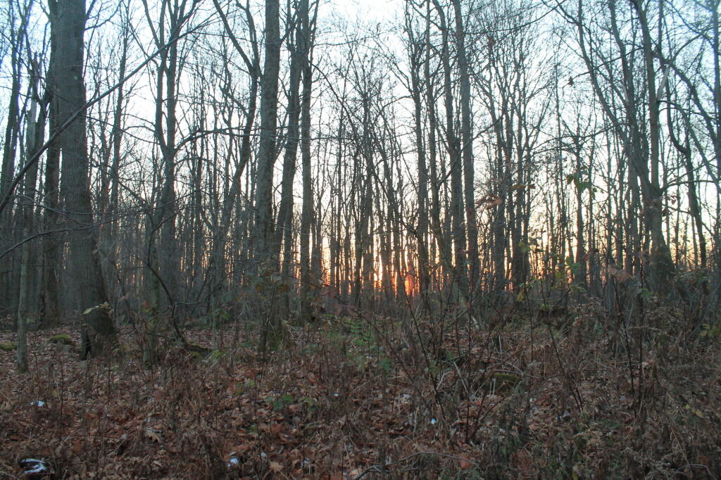 Photo: Last Night on Camping Trip Photo: Last Night on Camping Trip