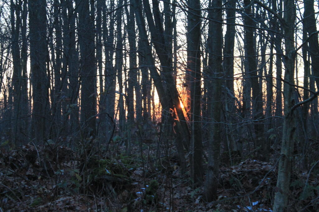Photo: Final Sunset Photo: Final Sunset