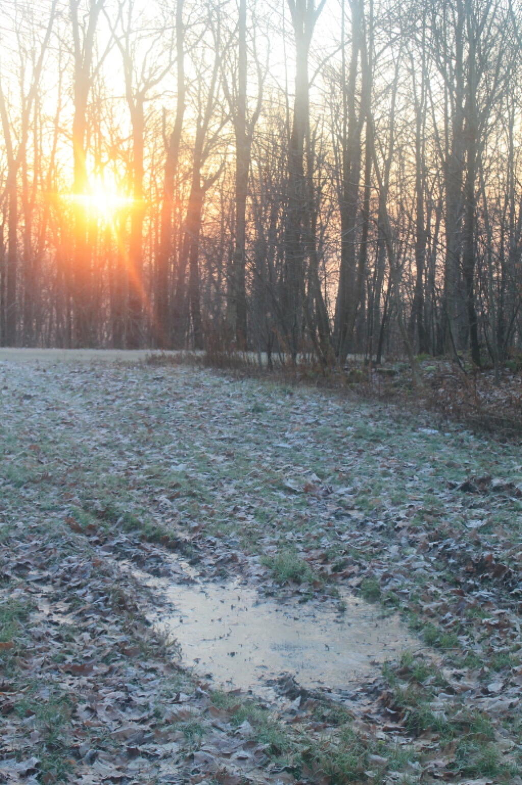 Photo: Morning Sun, Roadside Camping