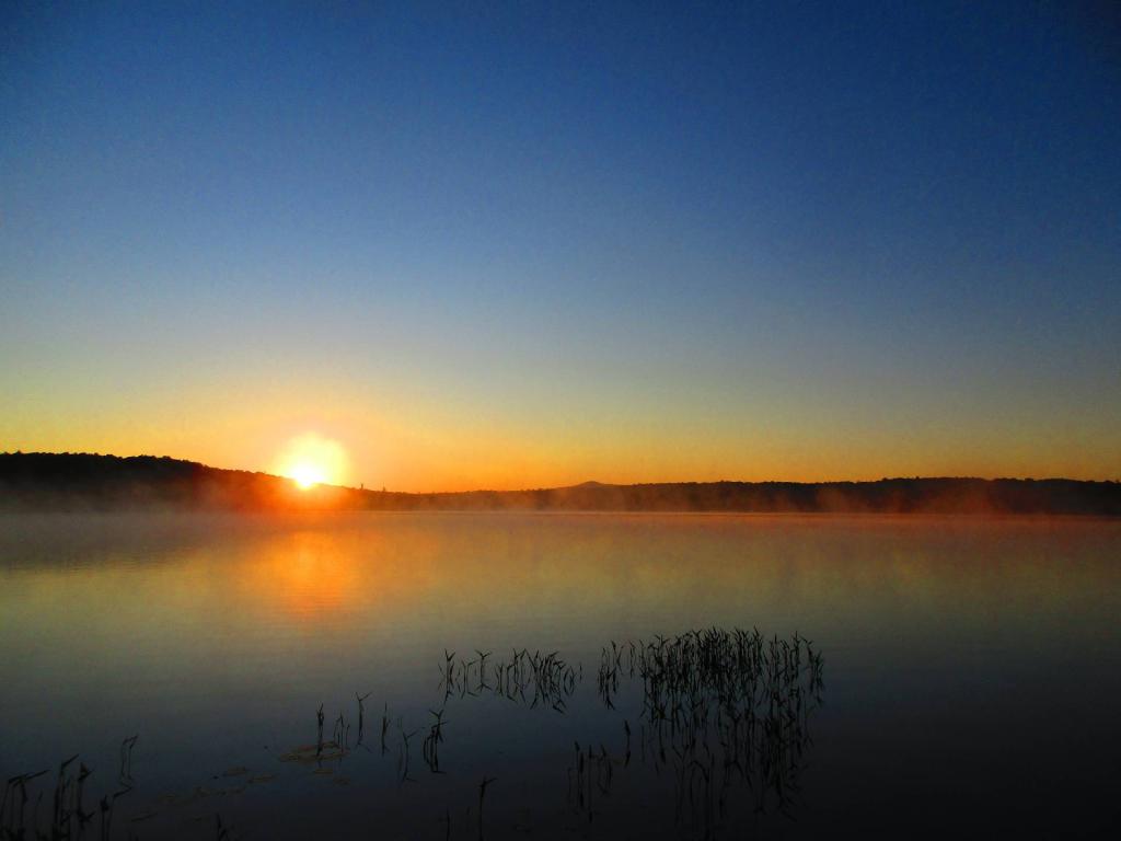 Photo: Foggy Morning at Horsehoe Lake Photo: Foggy Morning at Horsehoe Lake