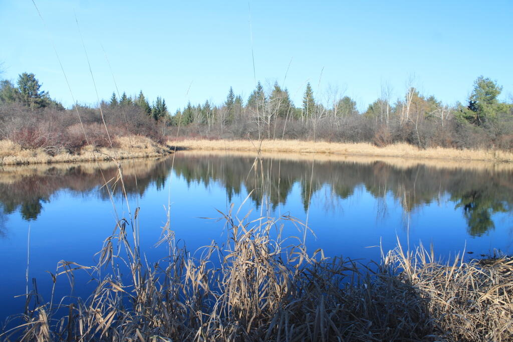 Photo: Thacher Park Pond Photo: Thacher Park Pond