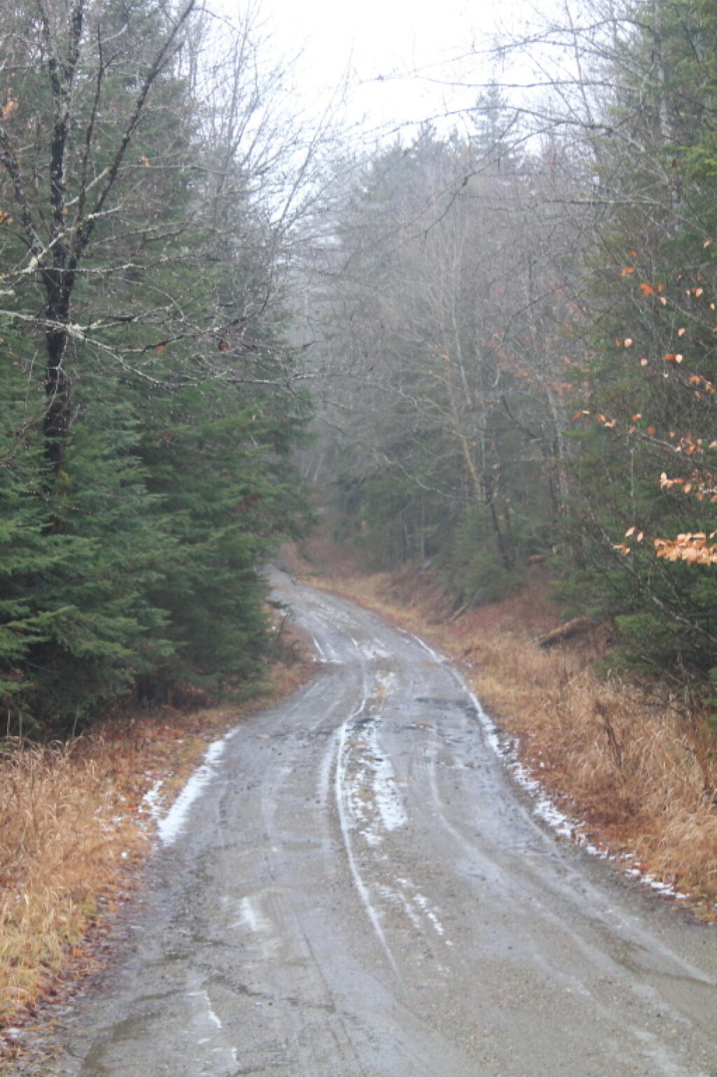 Photo: Previously Frozen Boreas RIver Road Thaws Out Photo: Previously Frozen Boreas RIver Road Thaws Out