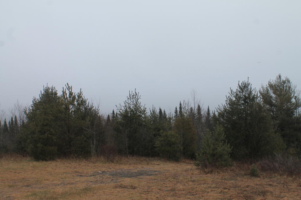 Photo: View from Boreas Campsite Photo: View from Boreas Campsite