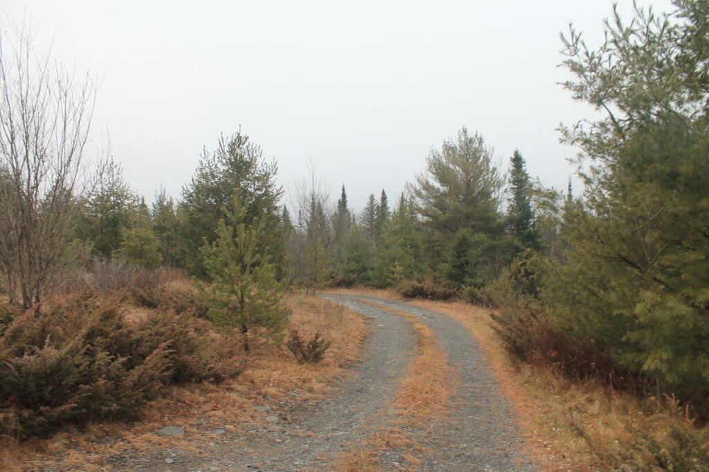 Photo: Boreas Road Campsite Driveway Photo: Boreas Road Campsite Driveway