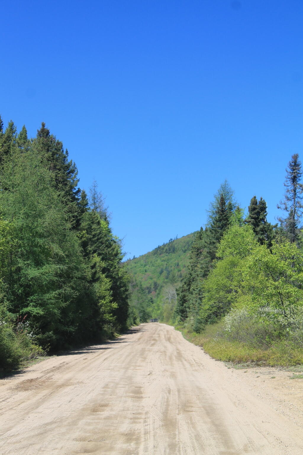 Photo: Plains Road Photo: Plains Road