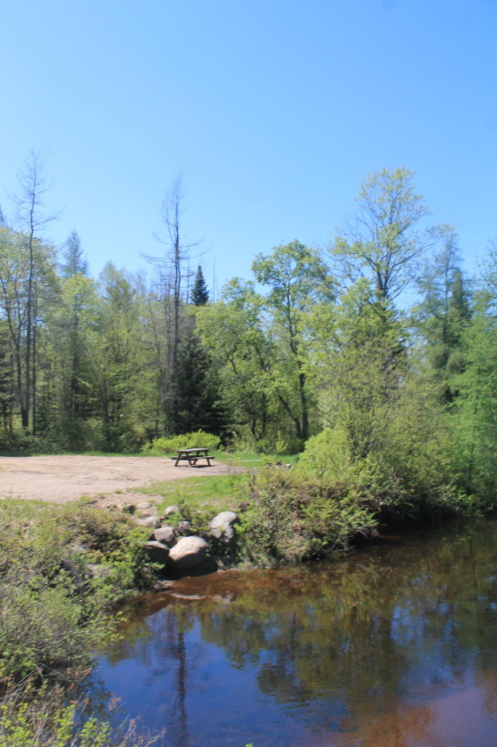 Photo: Campsite Along Red River Photo: Campsite Along Red River