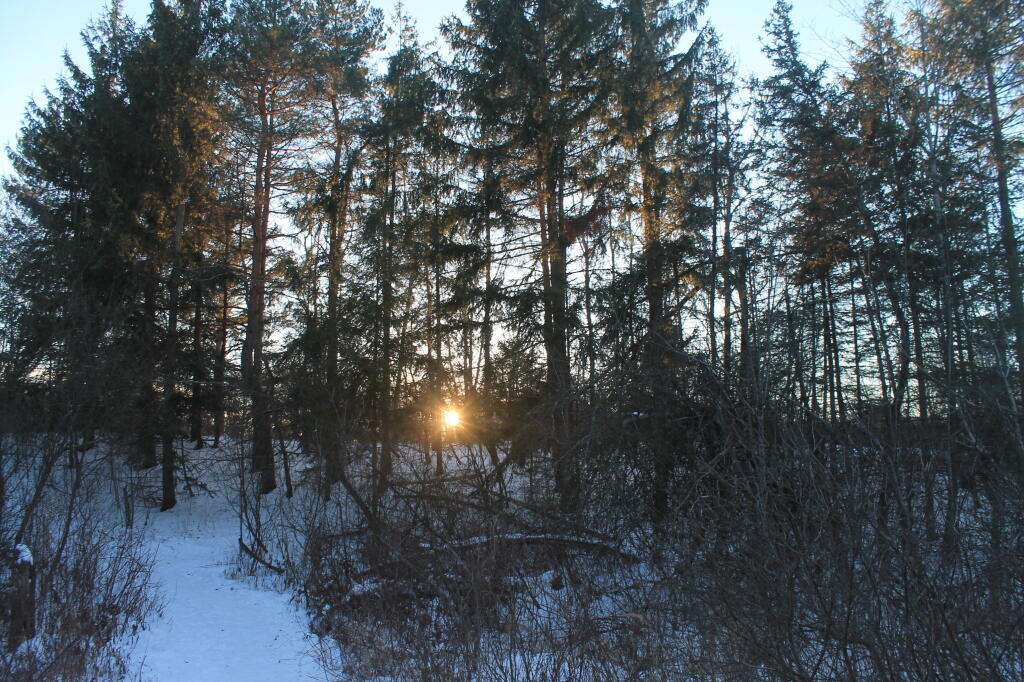 Photo: Early Sunset Photo: Early Sunset