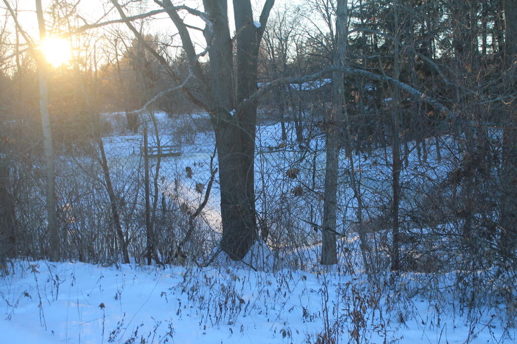 Photo: Pond Photo: Pond
