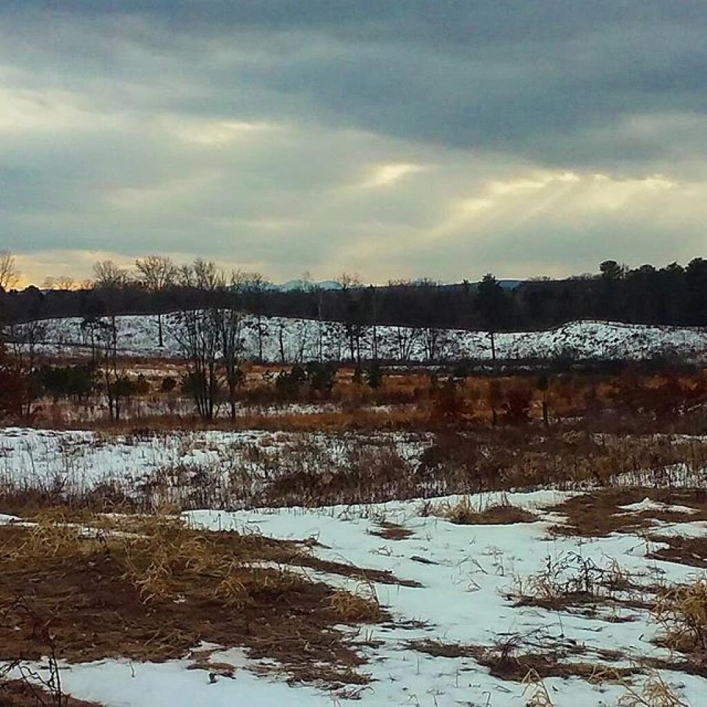 Photo: A winter's day Photo: A winter's day