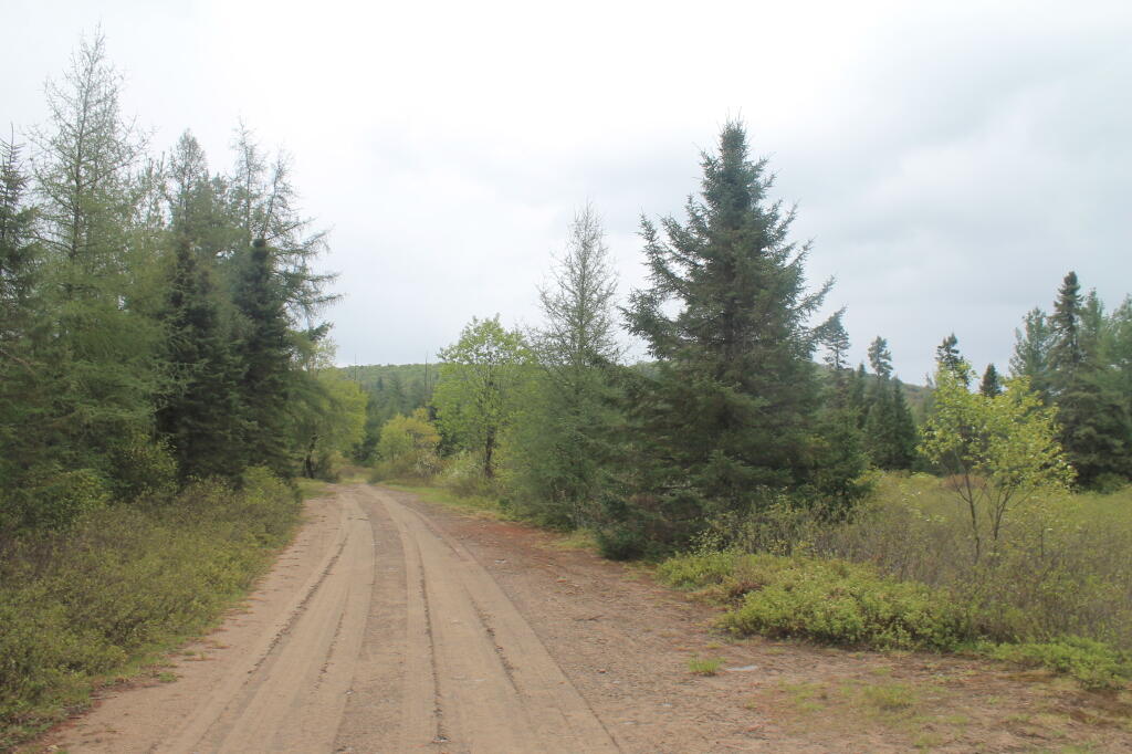Photo: Mitchells Pond Trail from Upper Entrance Photo: Mitchells Pond Trail from Upper Entrance