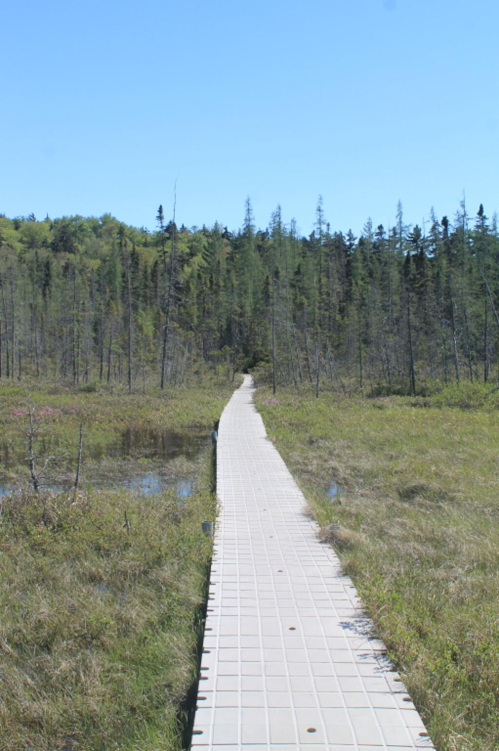 Photo: The Boardwalk Sure is Ugly Photo: The Boardwalk Sure is Ugly