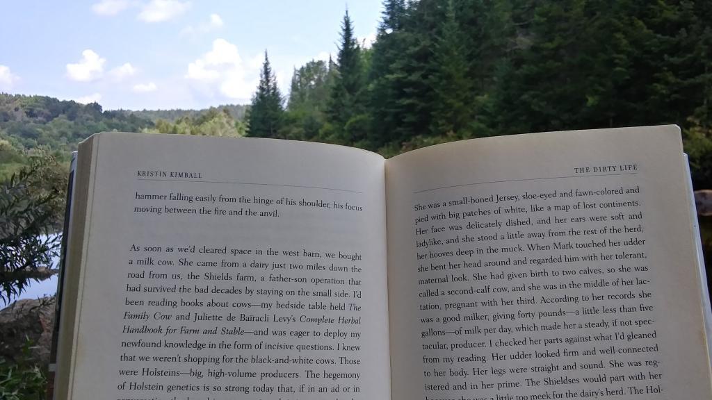 Photo: Reading 📖