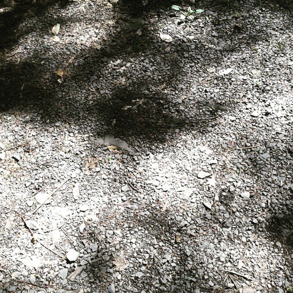 Photo: Sun