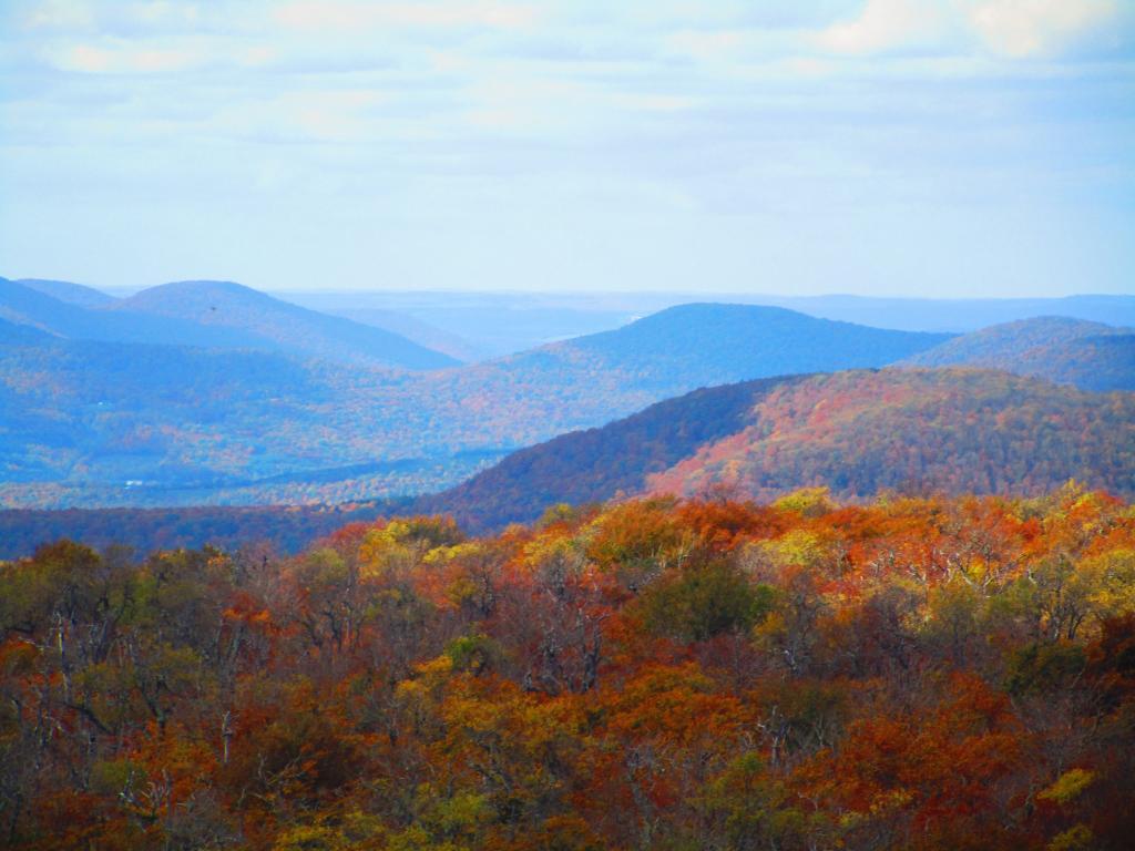 Photo: Mooreville Range and Irish Mountain Photo: Mooreville Range and Irish Mountain