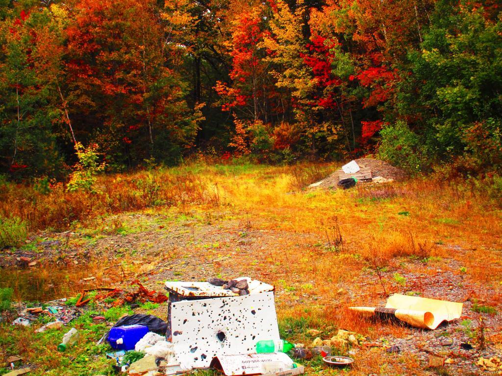Photo: Trashy Shooters Photo: Trashy Shooters