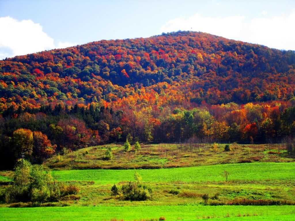 Photo: McGregor Mountain