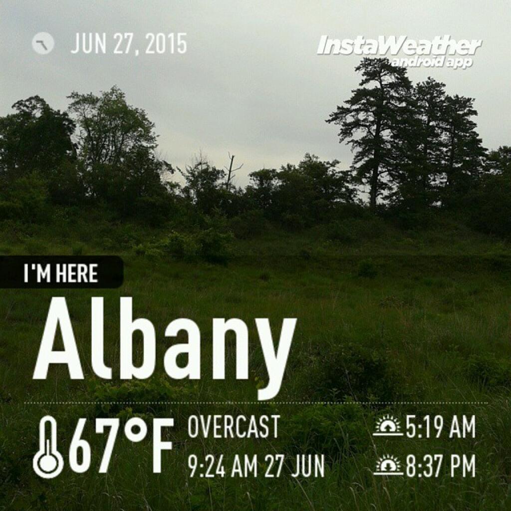 Photo: Save the Pine Bush Hike Weather Photo: Save the Pine Bush Hike Weather