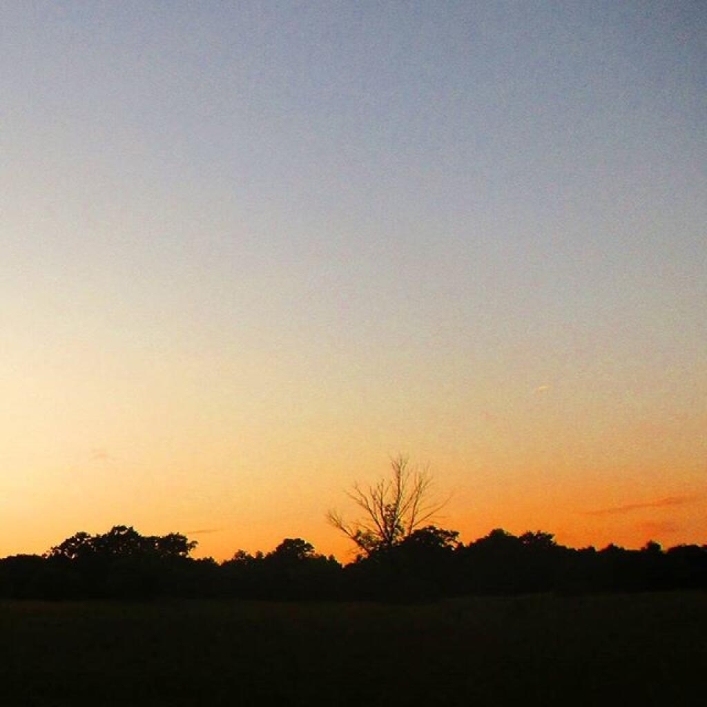 Photo: Dusk Photo: Dusk