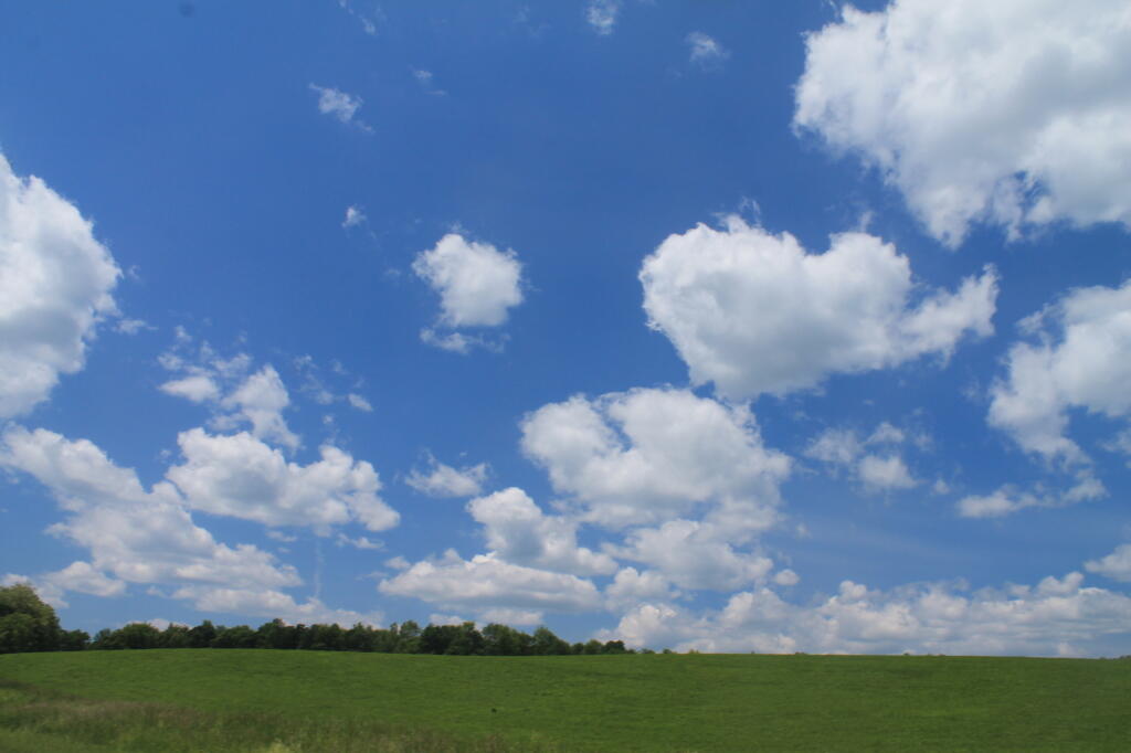 Photo: Green Field, Blue Skies Photo: Green Field, Blue Skies