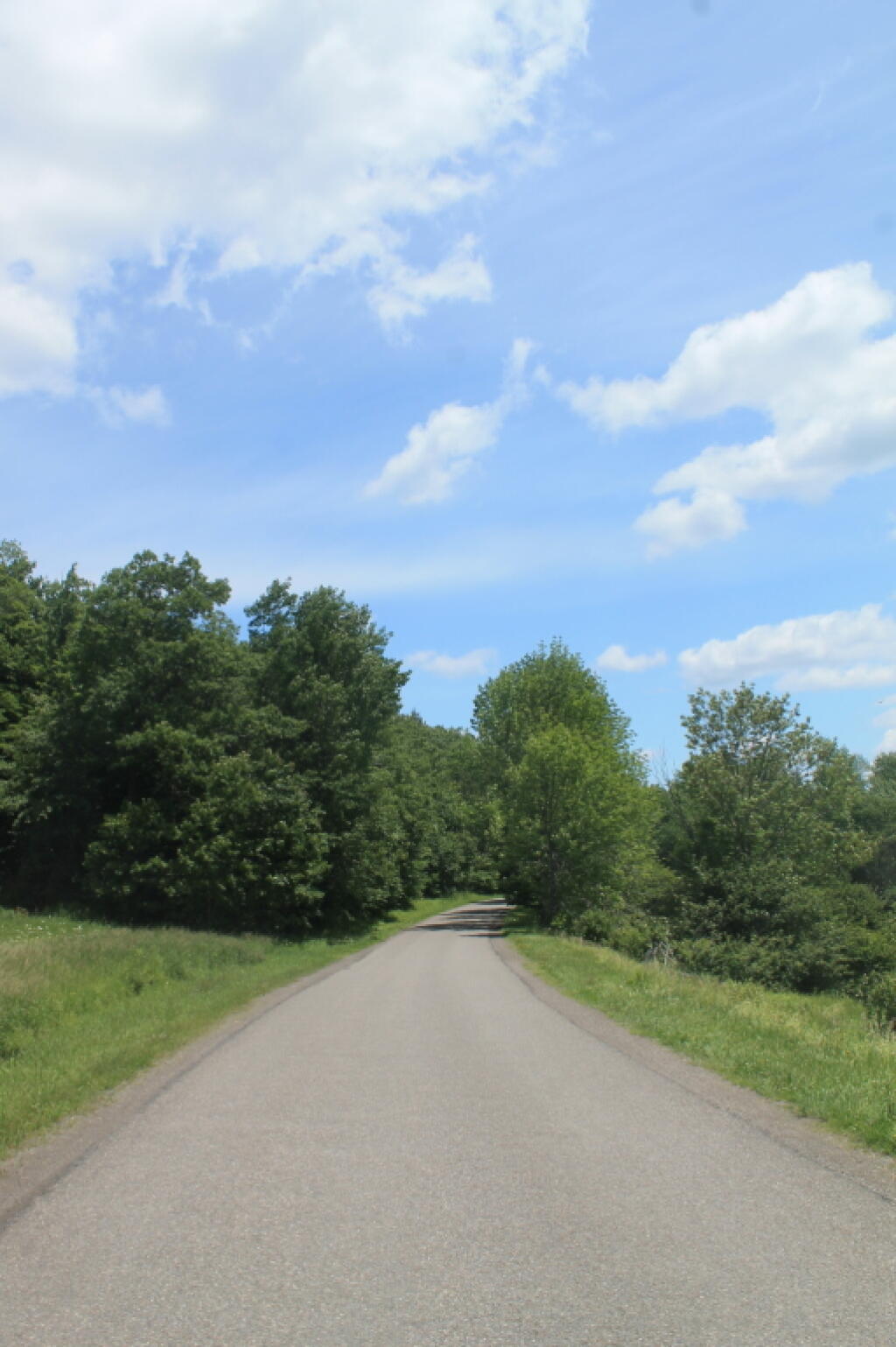Photo: The Open Road Photo: The Open Road
