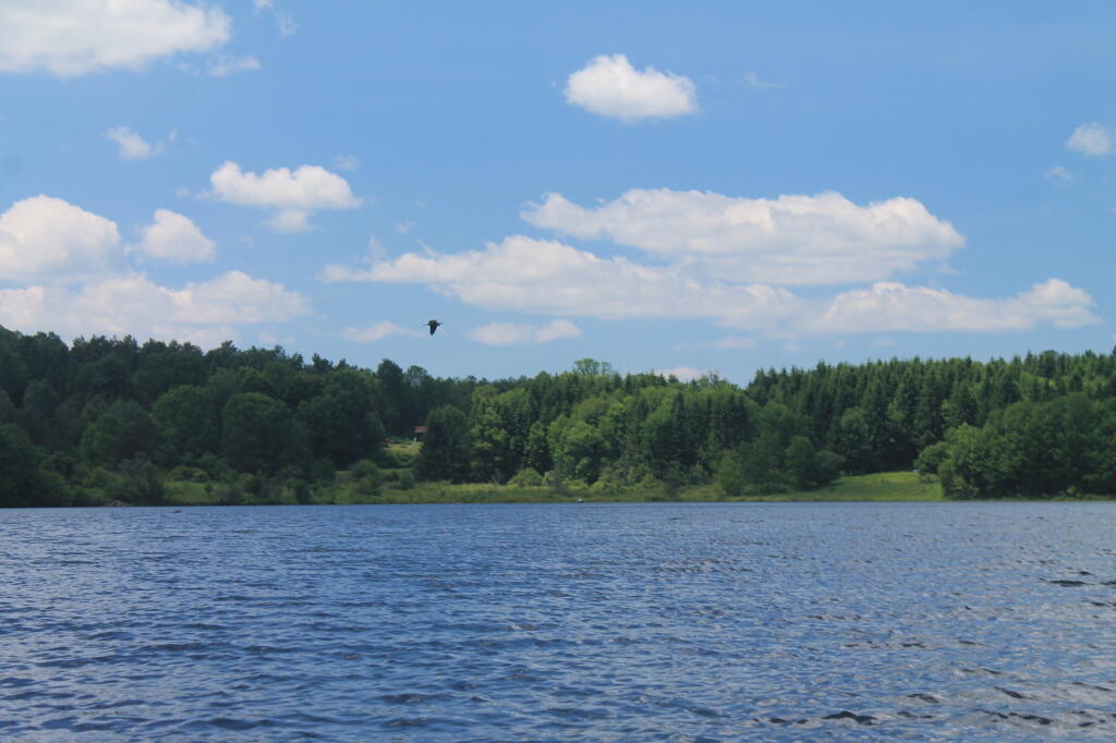 Photo: Fly Over Photo: Fly Over