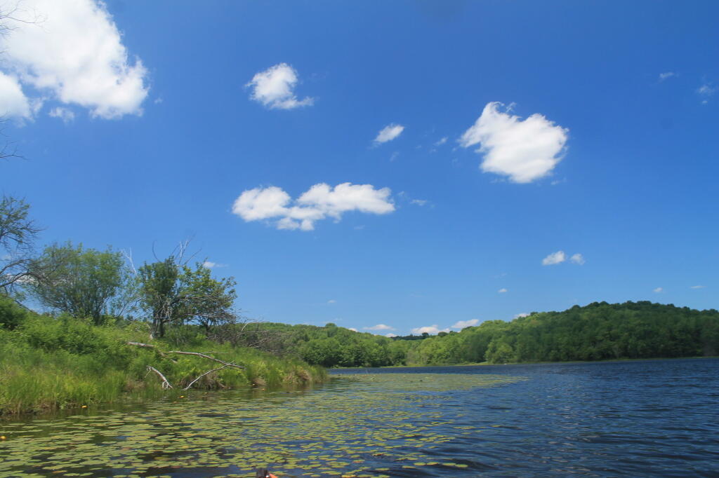 Photo: Nice Day Out Photo: Nice Day Out