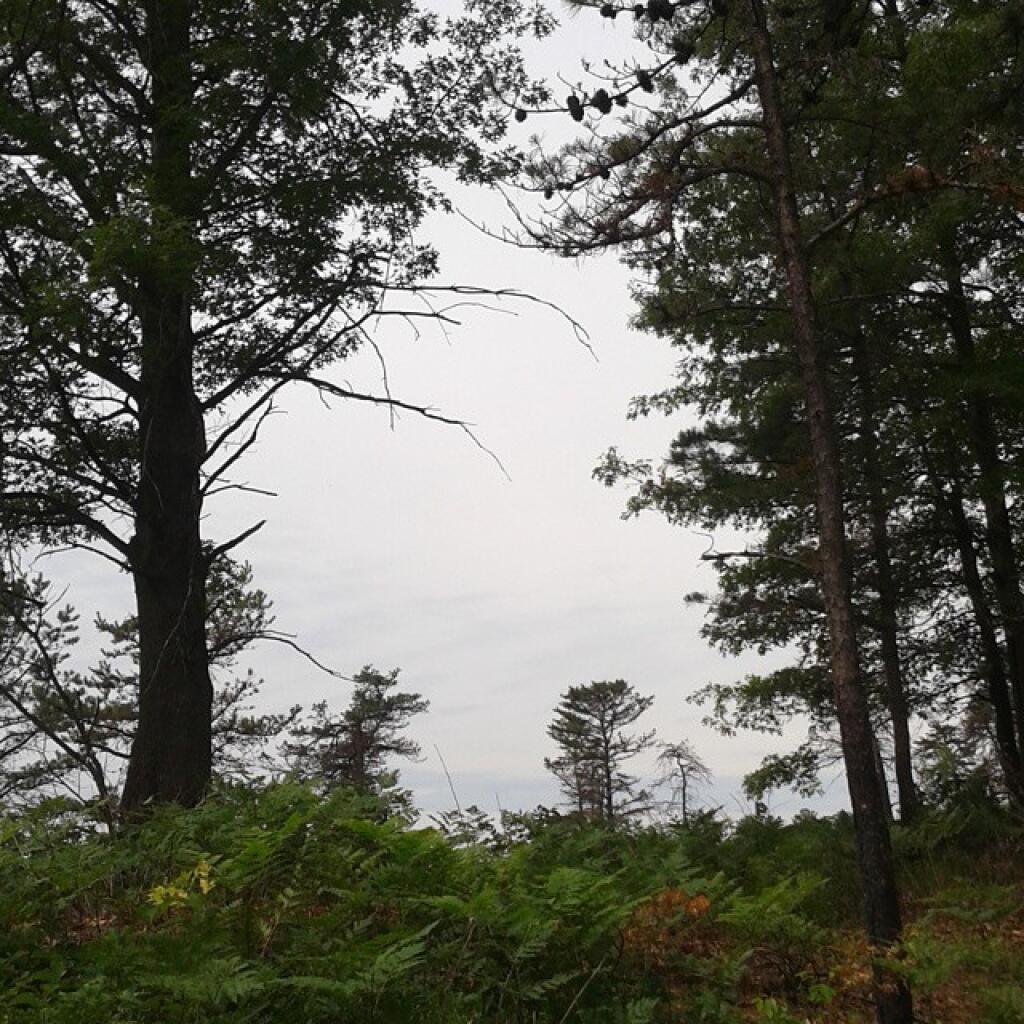 Photo: Gray day Photo: Gray day
