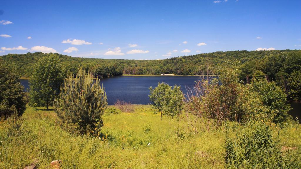 Photo: Hunts Pond from Above Photo: Hunts Pond from Above
