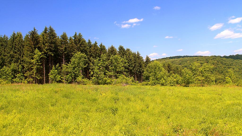 Photo: Meadow Photo: Meadow