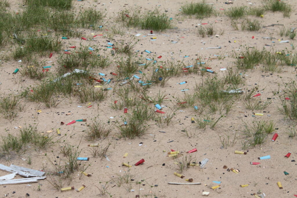 Photo: Shotgun Shells in the Sand Photo: Shotgun Shells in the Sand
