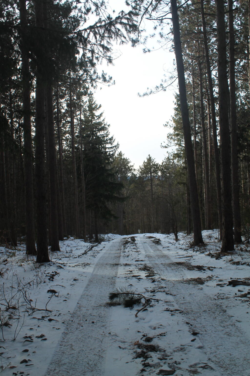 Photo: Cole Hill Truck Trail Photo: Cole Hill Truck Trail