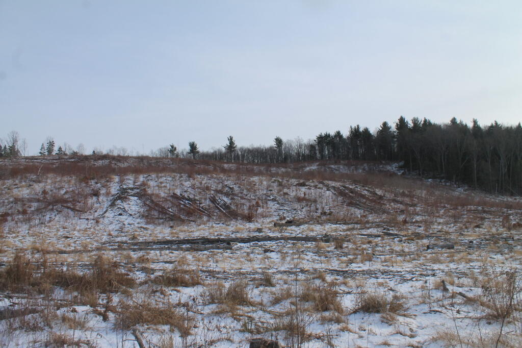 Photo: Clear Cut from Below Photo: Clear Cut from Below