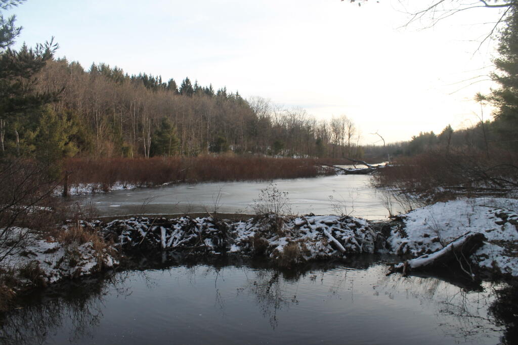 Photo: Beaver Dam Photo: Beaver Dam