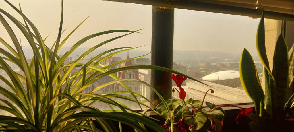 Photo: Smokey Morning