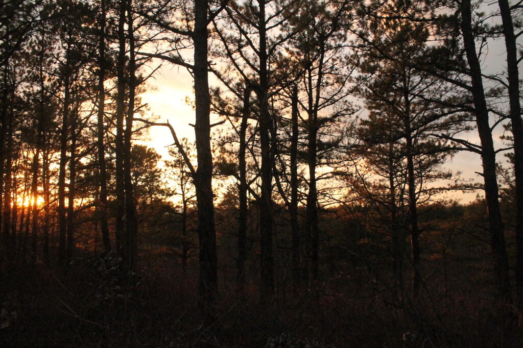 Photo: Untitled Photo: Untitled